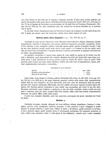 Palaeontographia Italica raccolta di monografie paleontologiche fondata da Mario Canavari nell'anno 1895