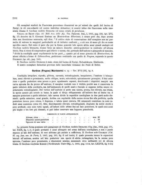 Palaeontographia Italica raccolta di monografie paleontologiche fondata da Mario Canavari nell'anno 1895