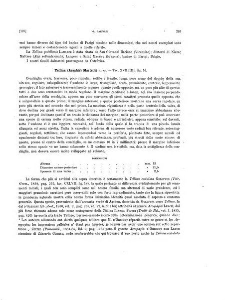 Palaeontographia Italica raccolta di monografie paleontologiche fondata da Mario Canavari nell'anno 1895