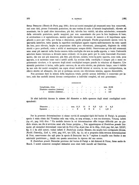 Palaeontographia Italica raccolta di monografie paleontologiche fondata da Mario Canavari nell'anno 1895