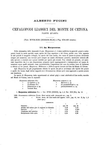 Palaeontographia Italica raccolta di monografie paleontologiche fondata da Mario Canavari nell'anno 1895