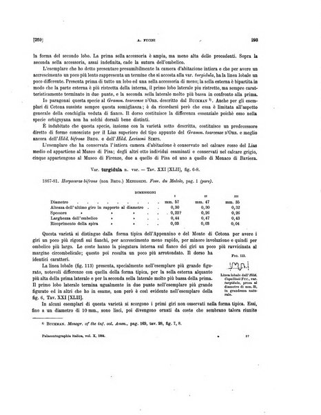 Palaeontographia Italica raccolta di monografie paleontologiche fondata da Mario Canavari nell'anno 1895