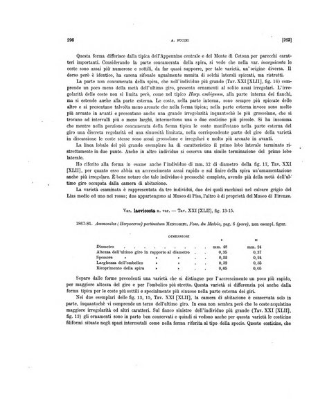 Palaeontographia Italica raccolta di monografie paleontologiche fondata da Mario Canavari nell'anno 1895