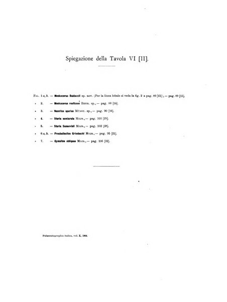 Palaeontographia Italica raccolta di monografie paleontologiche fondata da Mario Canavari nell'anno 1895