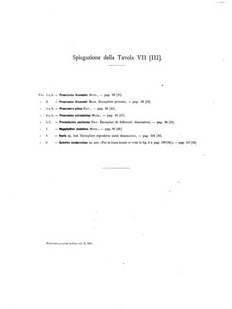 Palaeontographia Italica raccolta di monografie paleontologiche fondata da Mario Canavari nell'anno 1895