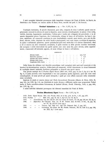 Palaeontographia Italica raccolta di monografie paleontologiche fondata da Mario Canavari nell'anno 1895