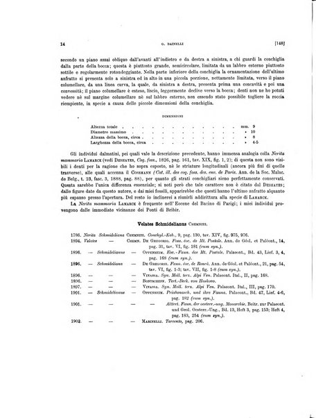 Palaeontographia Italica raccolta di monografie paleontologiche fondata da Mario Canavari nell'anno 1895