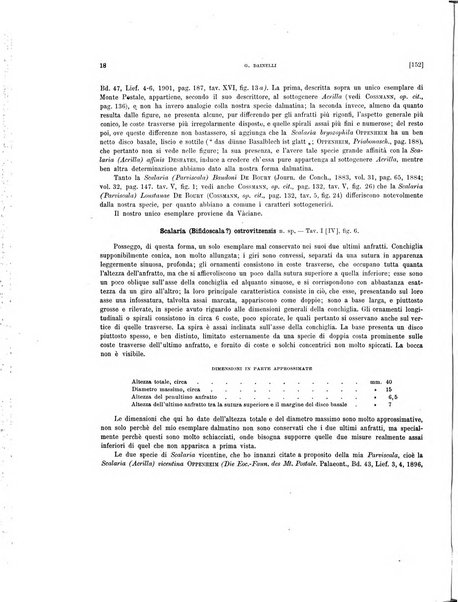 Palaeontographia Italica raccolta di monografie paleontologiche fondata da Mario Canavari nell'anno 1895