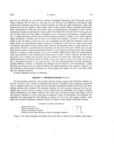 Palaeontographia Italica raccolta di monografie paleontologiche fondata da Mario Canavari nell'anno 1895