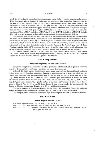 Palaeontographia Italica raccolta di monografie paleontologiche fondata da Mario Canavari nell'anno 1895