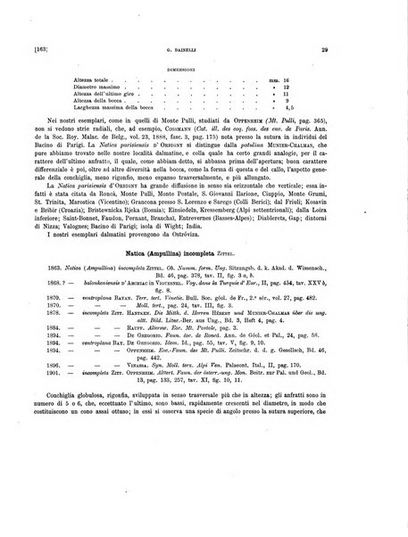 Palaeontographia Italica raccolta di monografie paleontologiche fondata da Mario Canavari nell'anno 1895