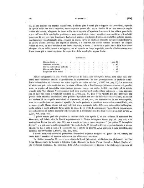 Palaeontographia Italica raccolta di monografie paleontologiche fondata da Mario Canavari nell'anno 1895