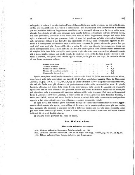 Palaeontographia Italica raccolta di monografie paleontologiche fondata da Mario Canavari nell'anno 1895