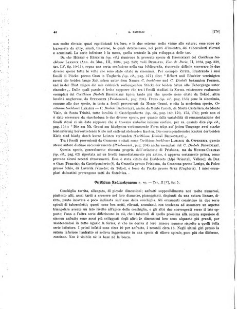 Palaeontographia Italica raccolta di monografie paleontologiche fondata da Mario Canavari nell'anno 1895