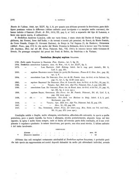 Palaeontographia Italica raccolta di monografie paleontologiche fondata da Mario Canavari nell'anno 1895