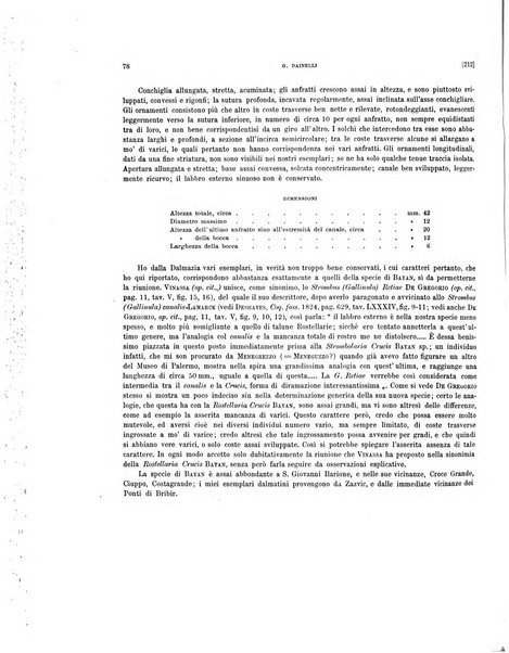 Palaeontographia Italica raccolta di monografie paleontologiche fondata da Mario Canavari nell'anno 1895