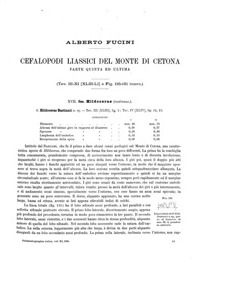 Palaeontographia Italica raccolta di monografie paleontologiche fondata da Mario Canavari nell'anno 1895