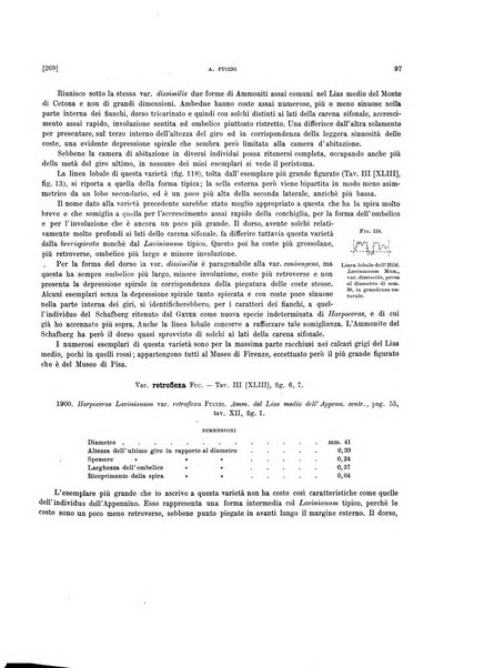 Palaeontographia Italica raccolta di monografie paleontologiche fondata da Mario Canavari nell'anno 1895