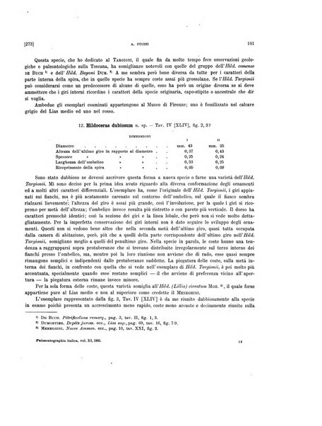 Palaeontographia Italica raccolta di monografie paleontologiche fondata da Mario Canavari nell'anno 1895