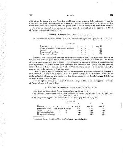 Palaeontographia Italica raccolta di monografie paleontologiche fondata da Mario Canavari nell'anno 1895