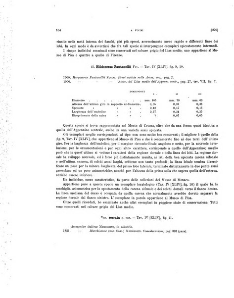 Palaeontographia Italica raccolta di monografie paleontologiche fondata da Mario Canavari nell'anno 1895