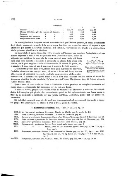 Palaeontographia Italica raccolta di monografie paleontologiche fondata da Mario Canavari nell'anno 1895