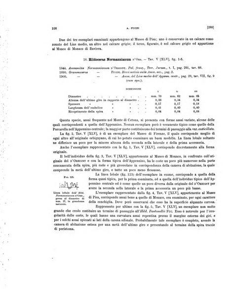 Palaeontographia Italica raccolta di monografie paleontologiche fondata da Mario Canavari nell'anno 1895