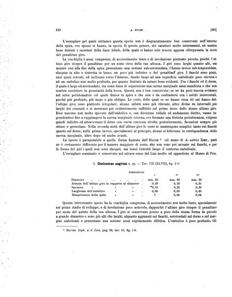 Palaeontographia Italica raccolta di monografie paleontologiche fondata da Mario Canavari nell'anno 1895