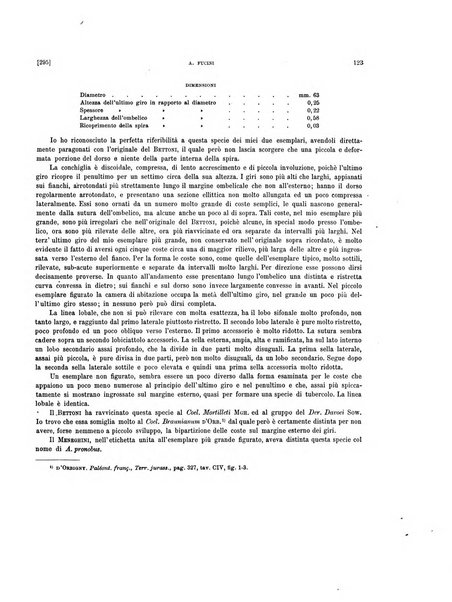 Palaeontographia Italica raccolta di monografie paleontologiche fondata da Mario Canavari nell'anno 1895