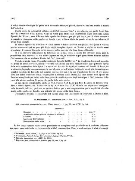 Palaeontographia Italica raccolta di monografie paleontologiche fondata da Mario Canavari nell'anno 1895