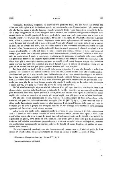 Palaeontographia Italica raccolta di monografie paleontologiche fondata da Mario Canavari nell'anno 1895