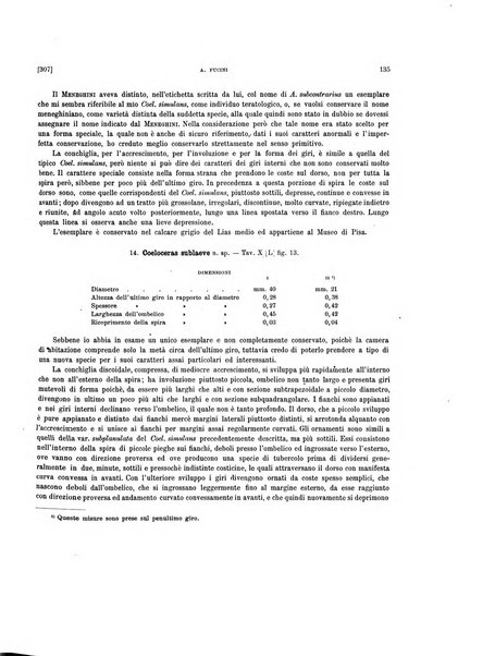 Palaeontographia Italica raccolta di monografie paleontologiche fondata da Mario Canavari nell'anno 1895