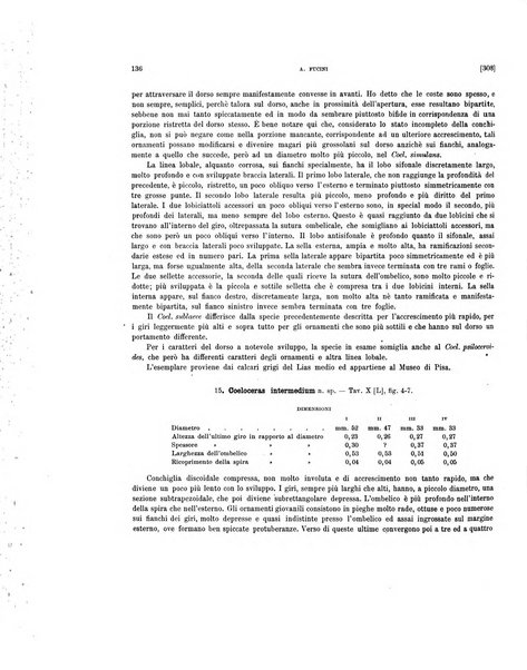 Palaeontographia Italica raccolta di monografie paleontologiche fondata da Mario Canavari nell'anno 1895