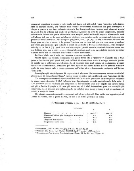 Palaeontographia Italica raccolta di monografie paleontologiche fondata da Mario Canavari nell'anno 1895