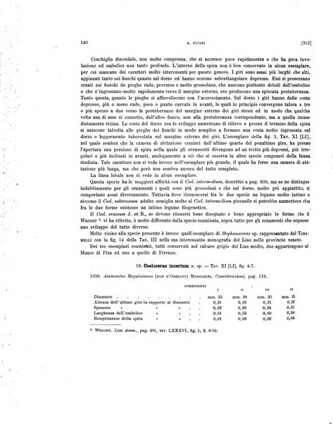 Palaeontographia Italica raccolta di monografie paleontologiche fondata da Mario Canavari nell'anno 1895