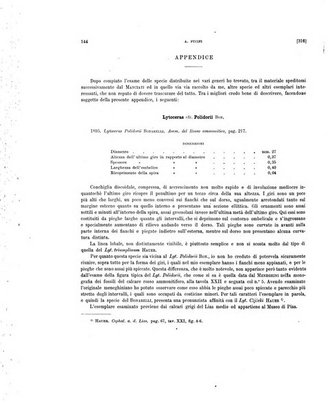 Palaeontographia Italica raccolta di monografie paleontologiche fondata da Mario Canavari nell'anno 1895