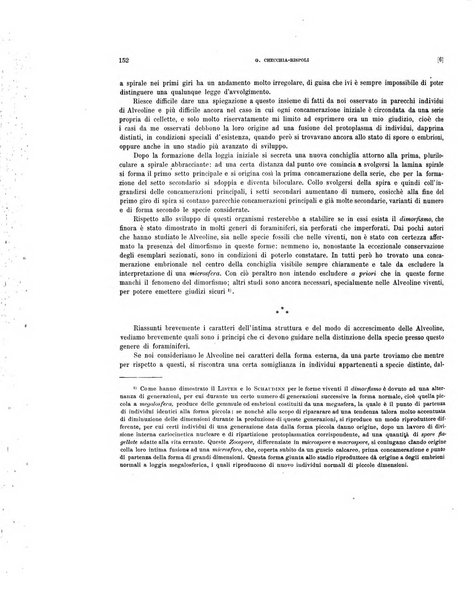 Palaeontographia Italica raccolta di monografie paleontologiche fondata da Mario Canavari nell'anno 1895