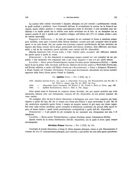 Palaeontographia Italica raccolta di monografie paleontologiche fondata da Mario Canavari nell'anno 1895