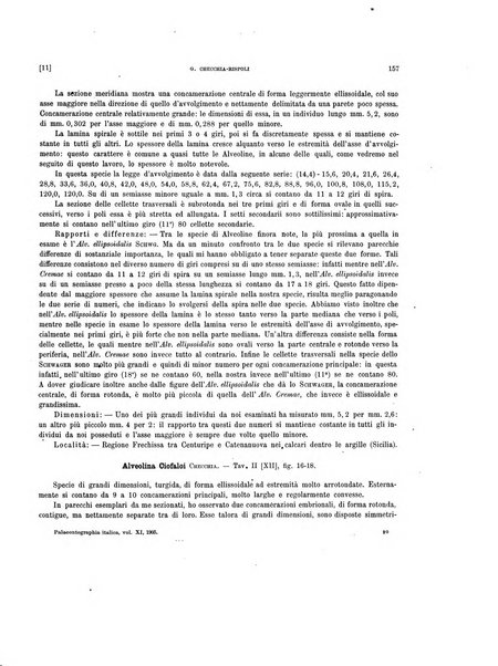 Palaeontographia Italica raccolta di monografie paleontologiche fondata da Mario Canavari nell'anno 1895