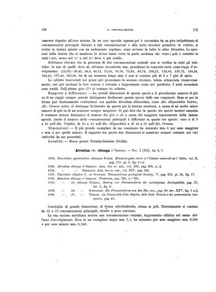 Palaeontographia Italica raccolta di monografie paleontologiche fondata da Mario Canavari nell'anno 1895