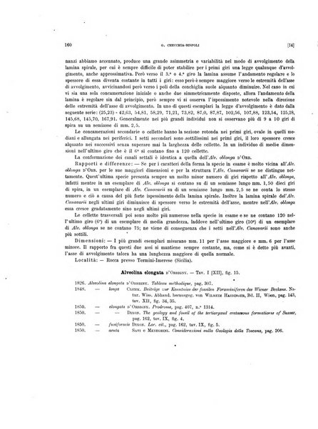 Palaeontographia Italica raccolta di monografie paleontologiche fondata da Mario Canavari nell'anno 1895