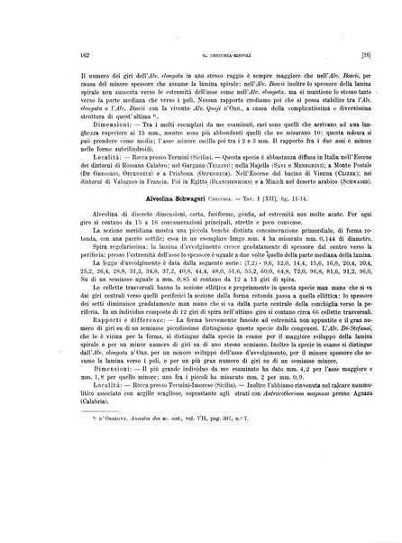 Palaeontographia Italica raccolta di monografie paleontologiche fondata da Mario Canavari nell'anno 1895