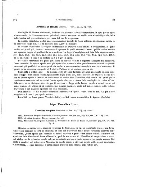 Palaeontographia Italica raccolta di monografie paleontologiche fondata da Mario Canavari nell'anno 1895