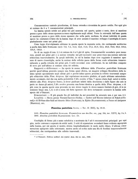 Palaeontographia Italica raccolta di monografie paleontologiche fondata da Mario Canavari nell'anno 1895