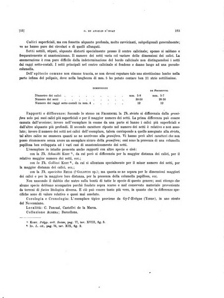 Palaeontographia Italica raccolta di monografie paleontologiche fondata da Mario Canavari nell'anno 1895