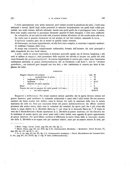 Palaeontographia Italica raccolta di monografie paleontologiche fondata da Mario Canavari nell'anno 1895