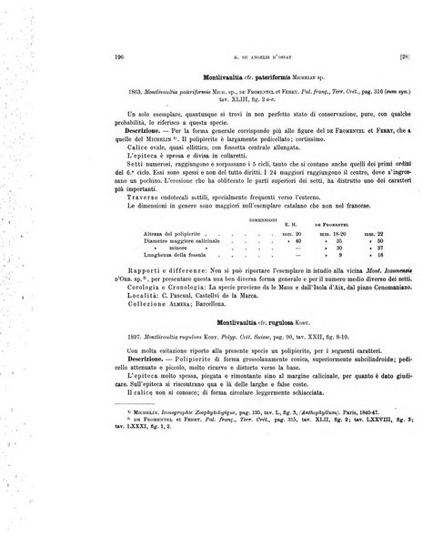 Palaeontographia Italica raccolta di monografie paleontologiche fondata da Mario Canavari nell'anno 1895