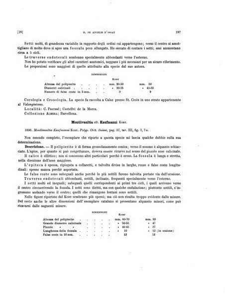 Palaeontographia Italica raccolta di monografie paleontologiche fondata da Mario Canavari nell'anno 1895