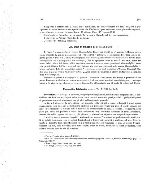 Palaeontographia Italica raccolta di monografie paleontologiche fondata da Mario Canavari nell'anno 1895