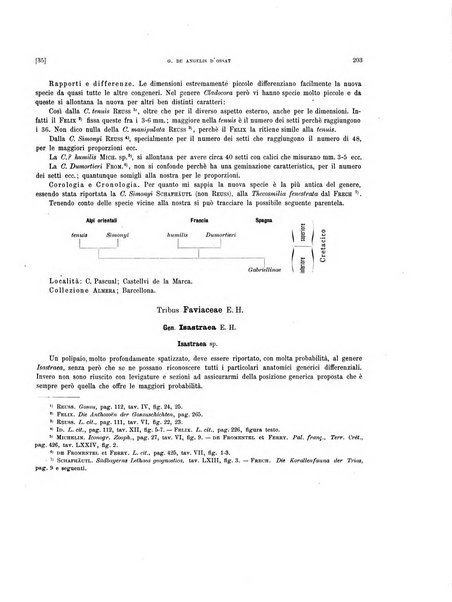 Palaeontographia Italica raccolta di monografie paleontologiche fondata da Mario Canavari nell'anno 1895